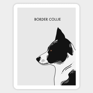 Border Collie - Portrait Magnet